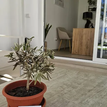 Casa Daquigno - Boutique & Garden Olbia